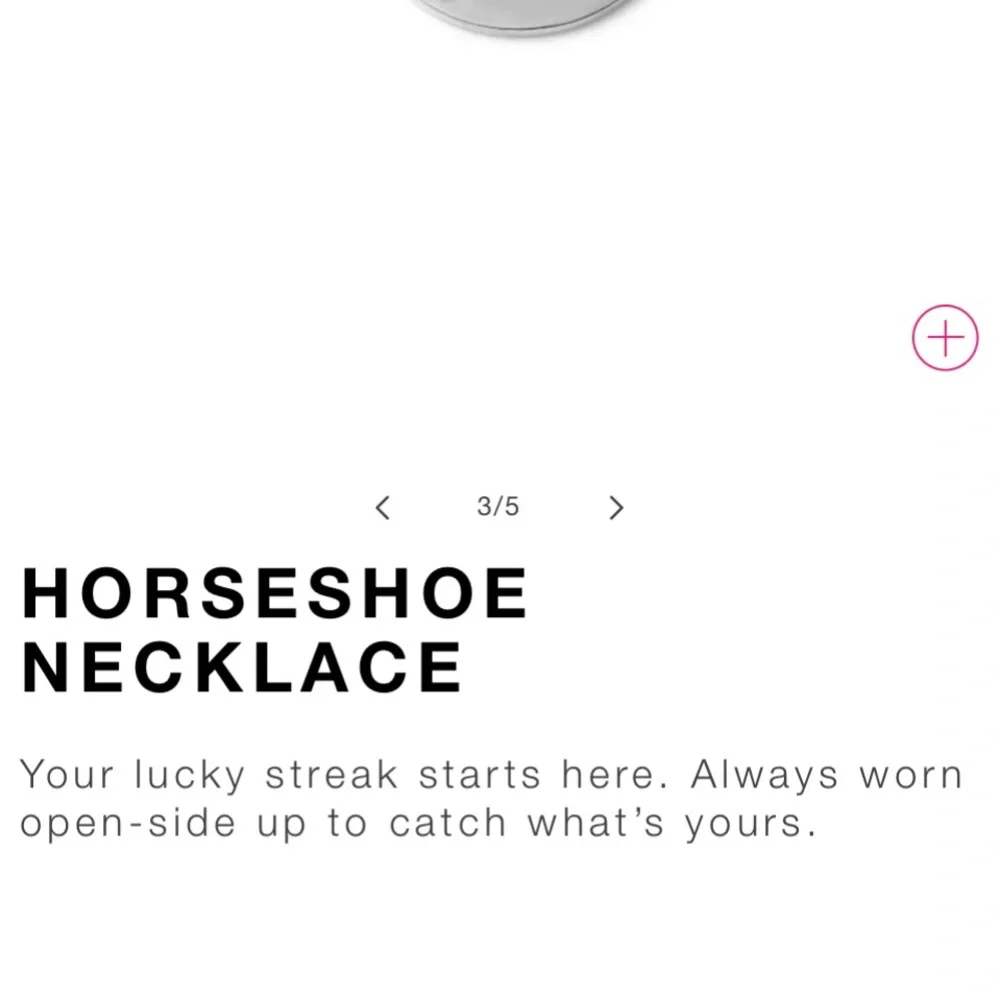 WTC- Horseshoe Necklace - Picture 6 of 7